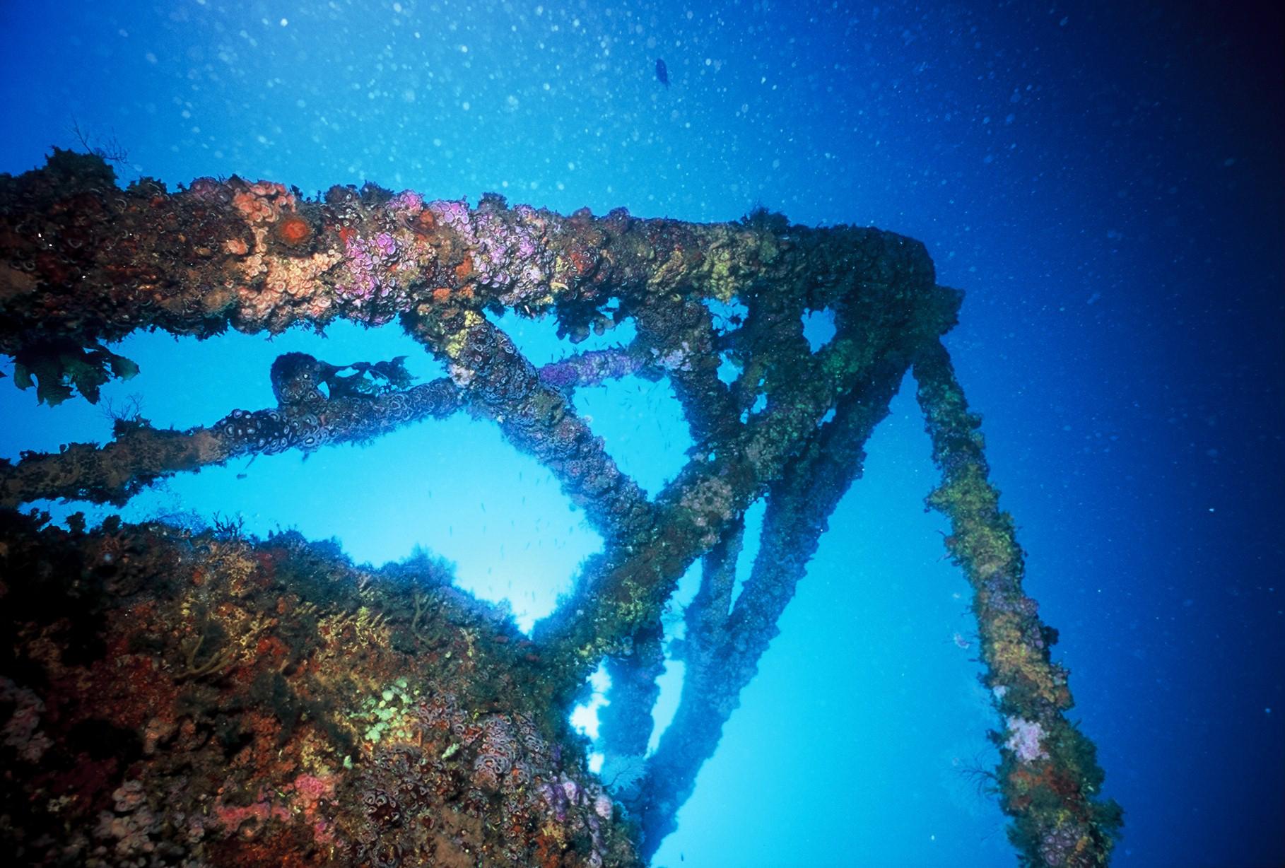 News and press releases  icon